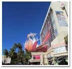 Casino Entertainment Gone Wild Casino Entertainment Gone Wild